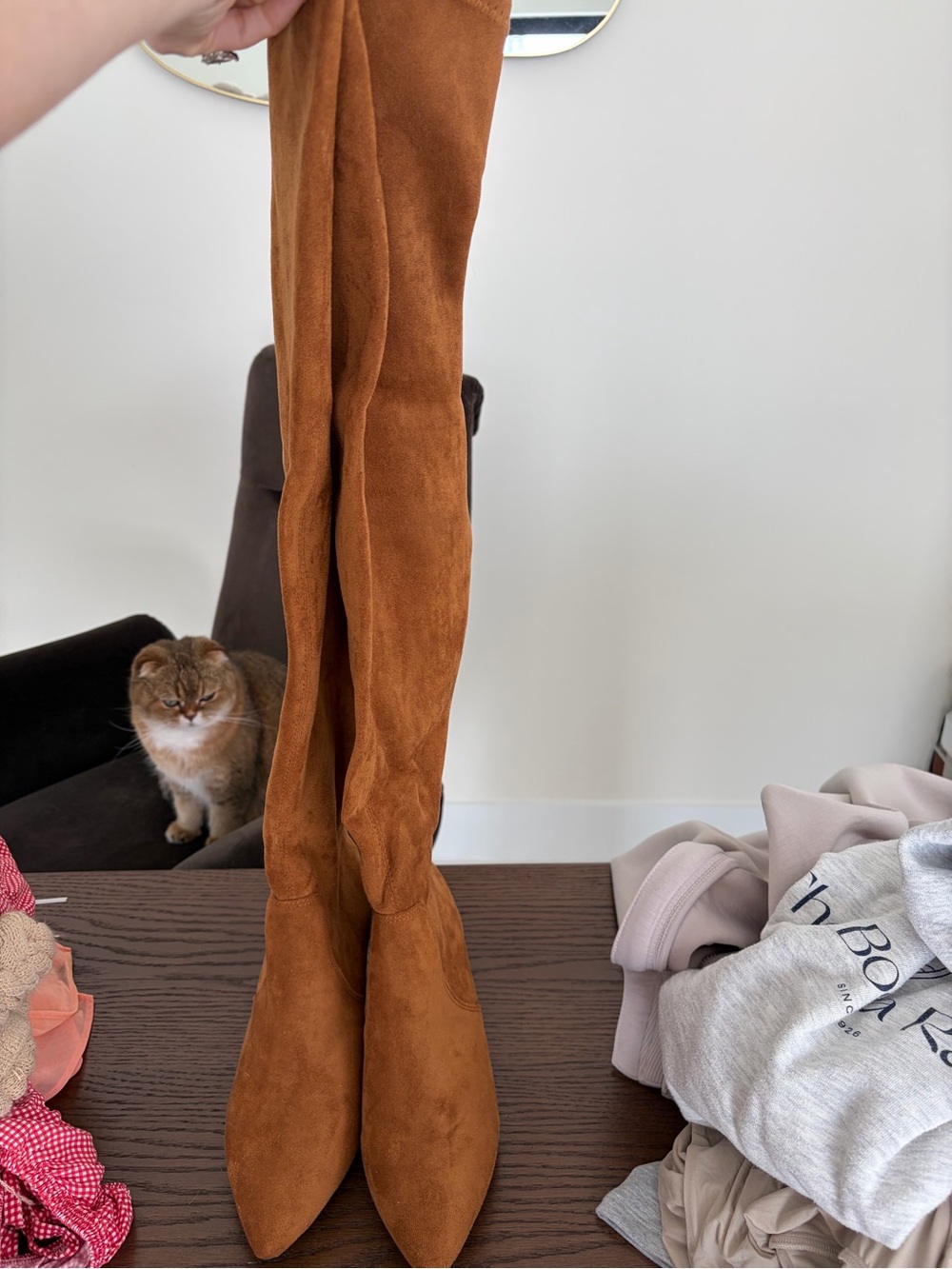 Suede Over-the-Knee Boots in Rust Brown